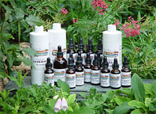 Single Herbs in Liquid Extract
