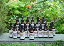 Single Herbs in Liquid Extract